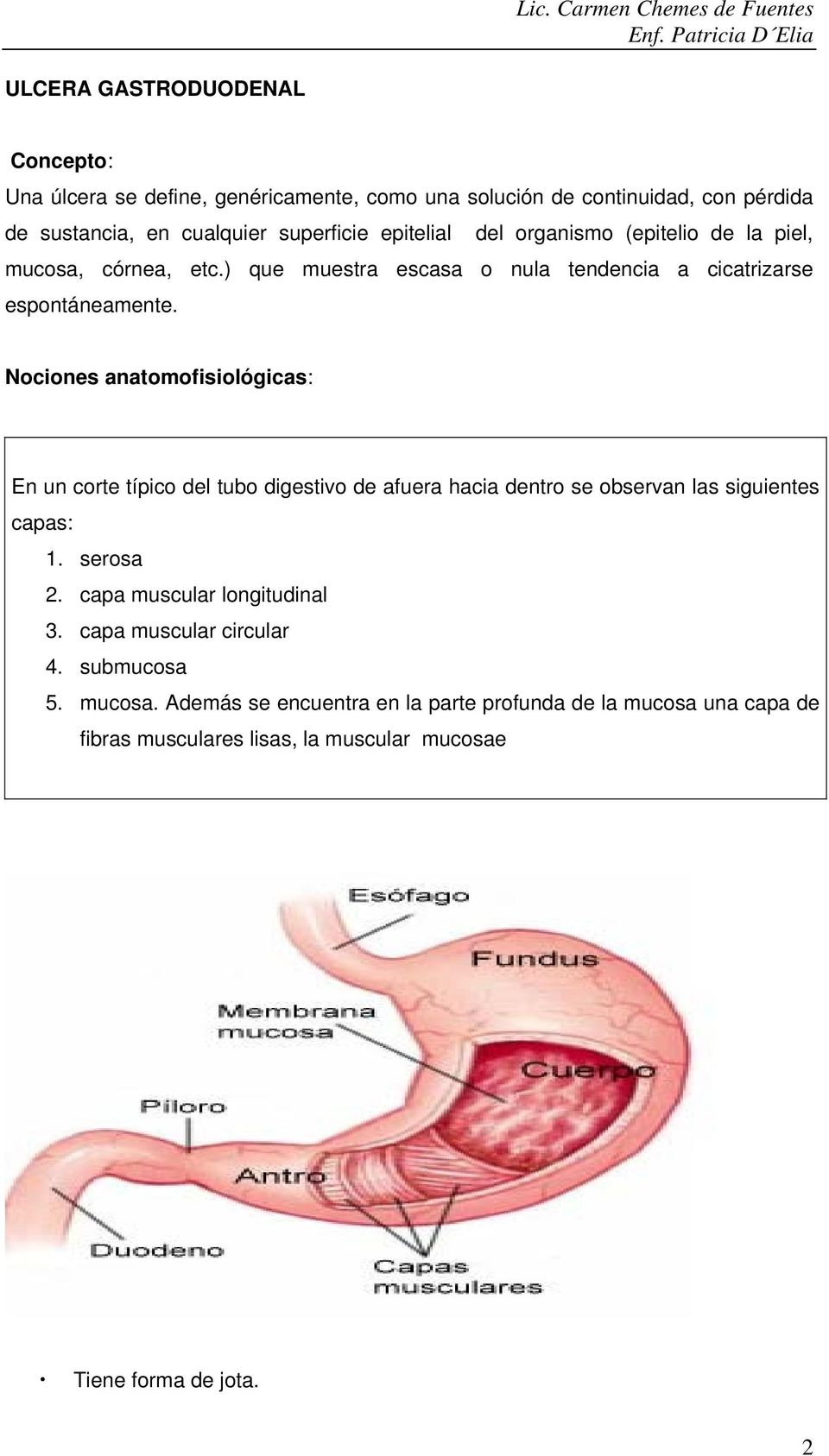 Nociones anatomofisiológicas: En un corte típico del tubo digestivo de afuera hacia dentro se observan las siguientes capas: 1. serosa 2.