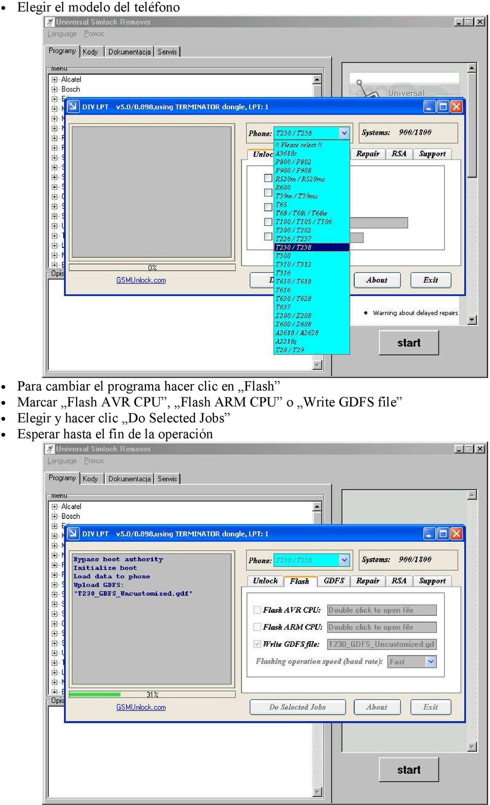 Flash ARM CPU o Write GDFS file Elegir y hacer