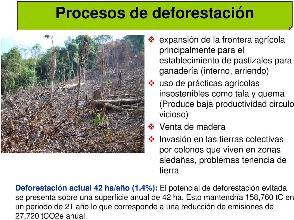 colonos que viven en zonas aledañas, problemas tenencia de tierra Deforestación actual 42 ha/año (1.