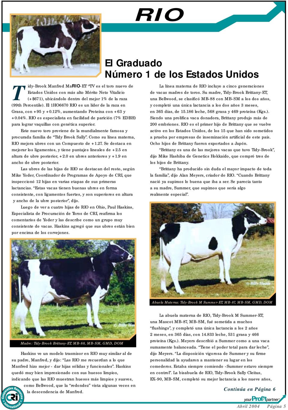 RIO es especialista en facilidad de parición (7% EDBH) para lograr vaquillas con genética superior. Este nuevo toro proviene de la mundialmente famosa y procurada familia de Tidy Brook Sally.
