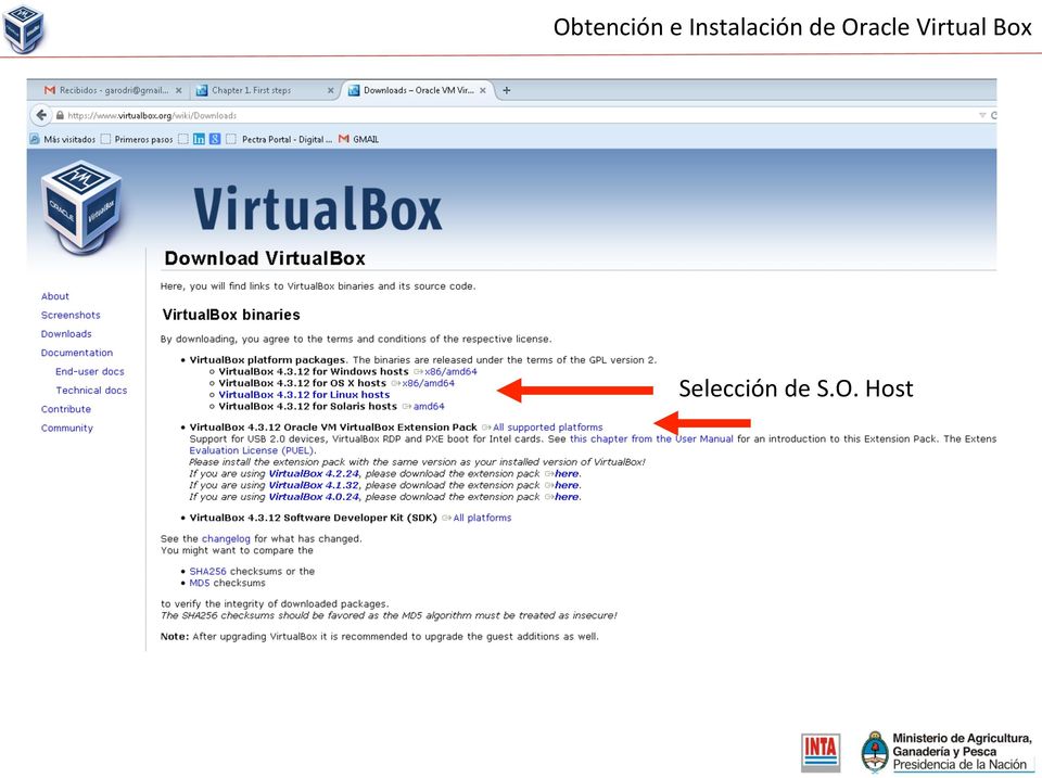 Oracle Virtual