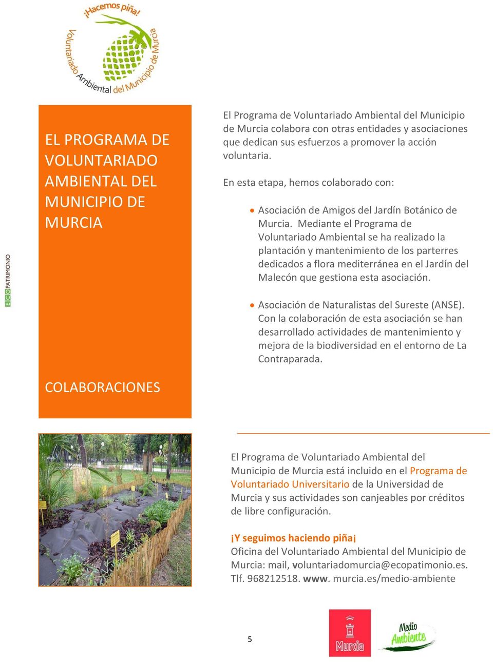 Mediante el Programa de Voluntariado Ambiental se ha realizado la plantación y mantenimiento de los parterres dedicados a flora mediterránea en el Jardín del Malecón que gestiona esta asociación.
