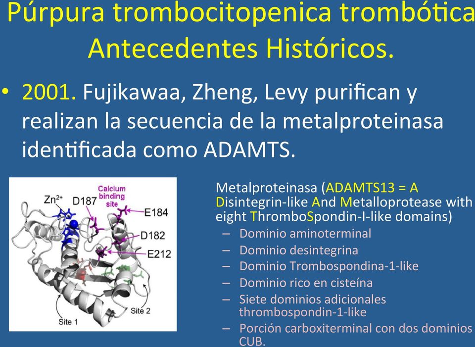 Metalproteinasa (ADAMTS13 = A Disintegrin- like And Metalloprotease with eight ThromboSpondin- I- like domains) Dominio