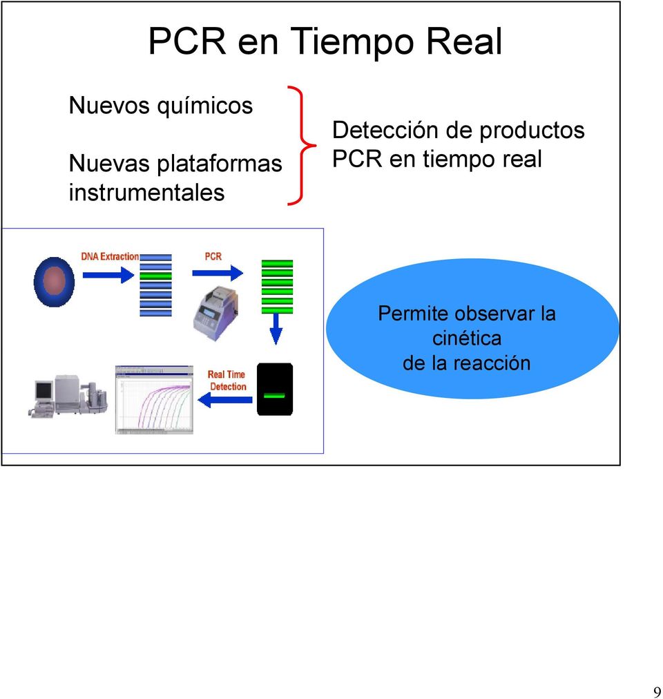 Detección de productos PCR en tiempo