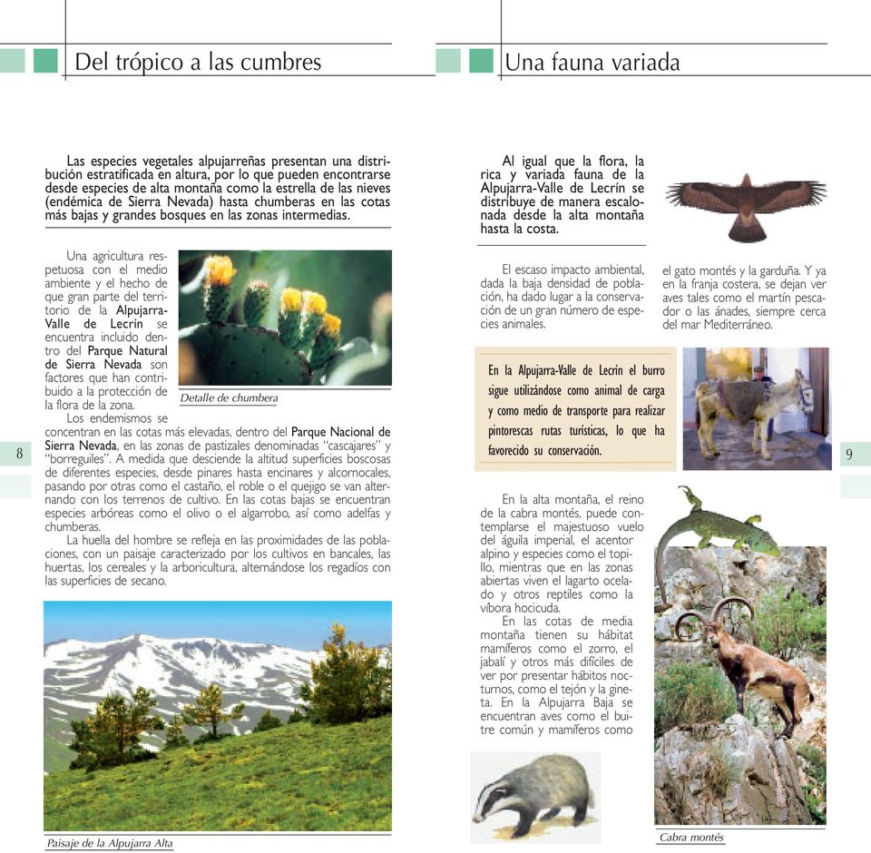 Al igual que la flora, la rica y variada fauna de la Alpujarra-Valle de Lecrín se distribuye de manera escalonada desde la alta montaña hasta la costa.