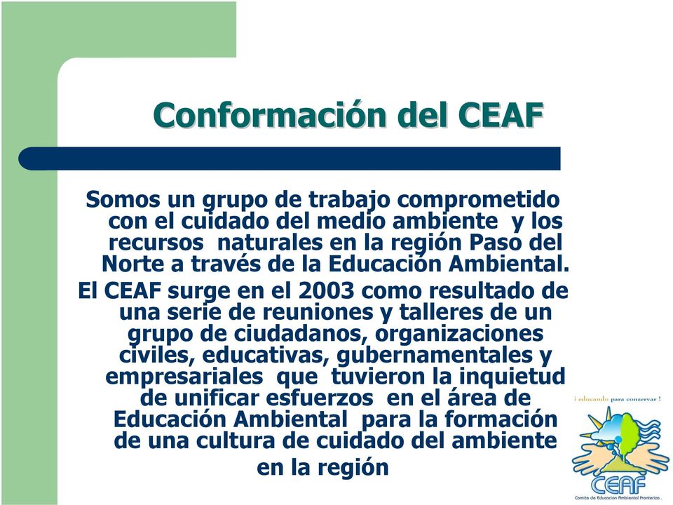 El CEAF surge en el 2003 como resultado de una serie de reuniones y talleres de un grupo de ciudadanos, organizaciones civiles,