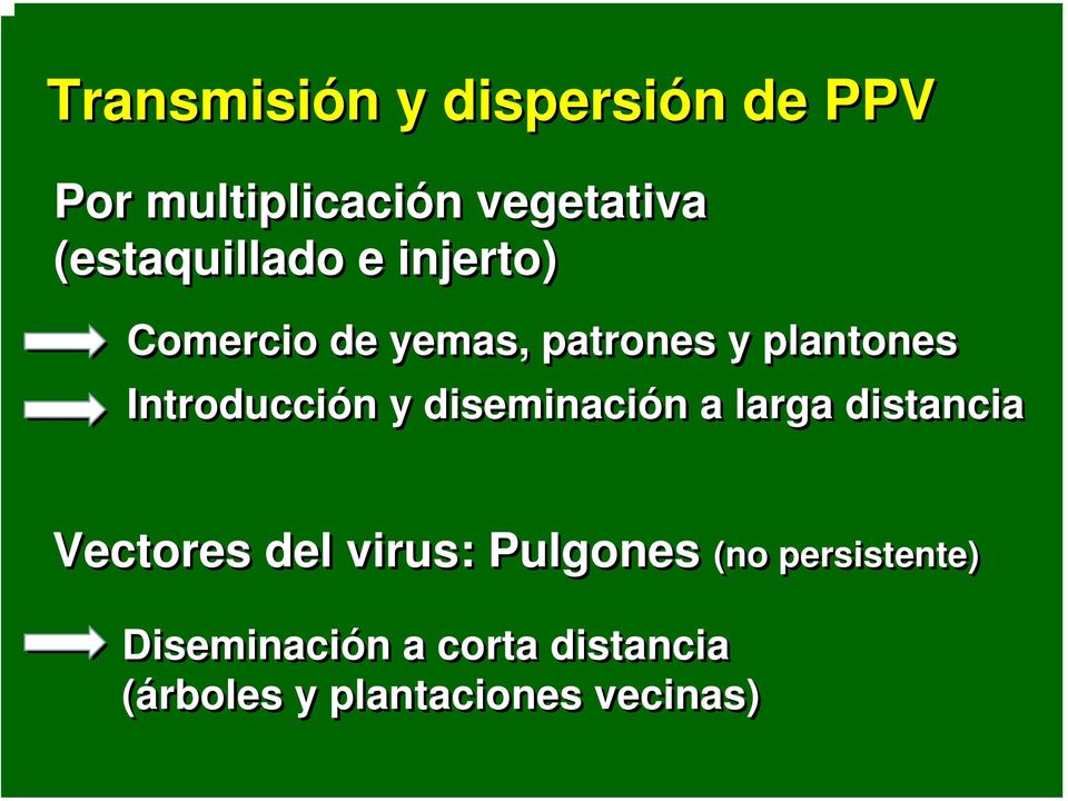 Introducción y diseminación a larga distancia Vectores del virus: