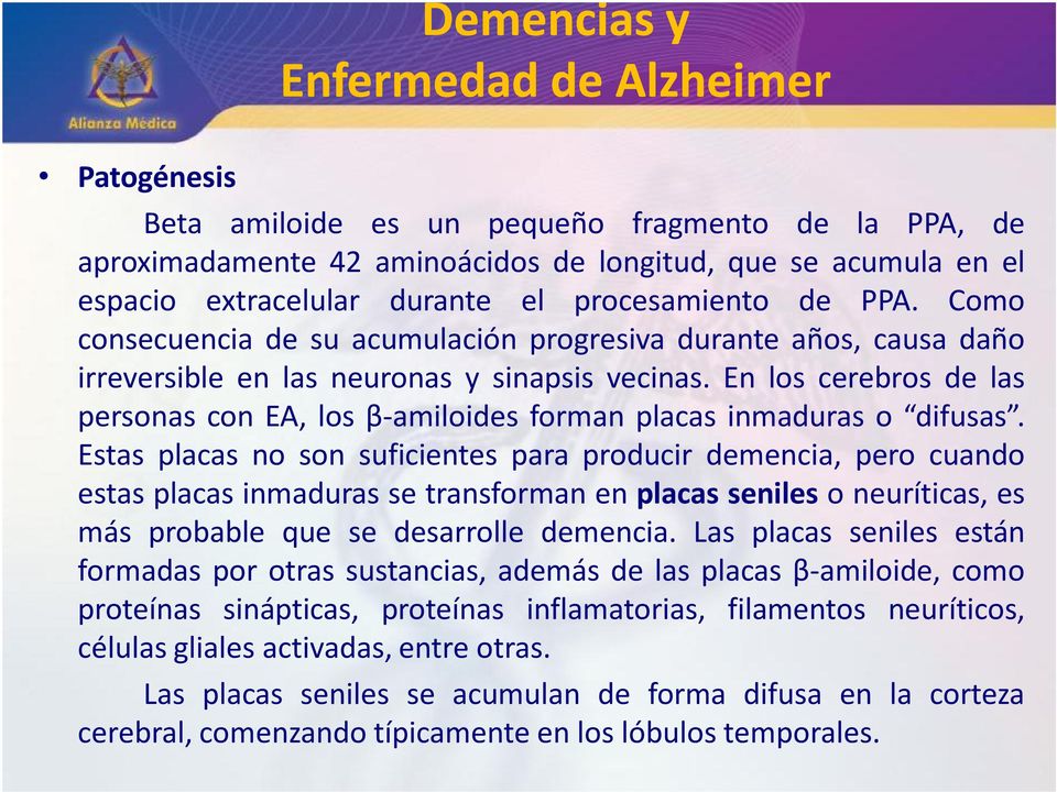 En los cerebros de las personas con EA, los β amiloides forman placas inmaduras o difusas.