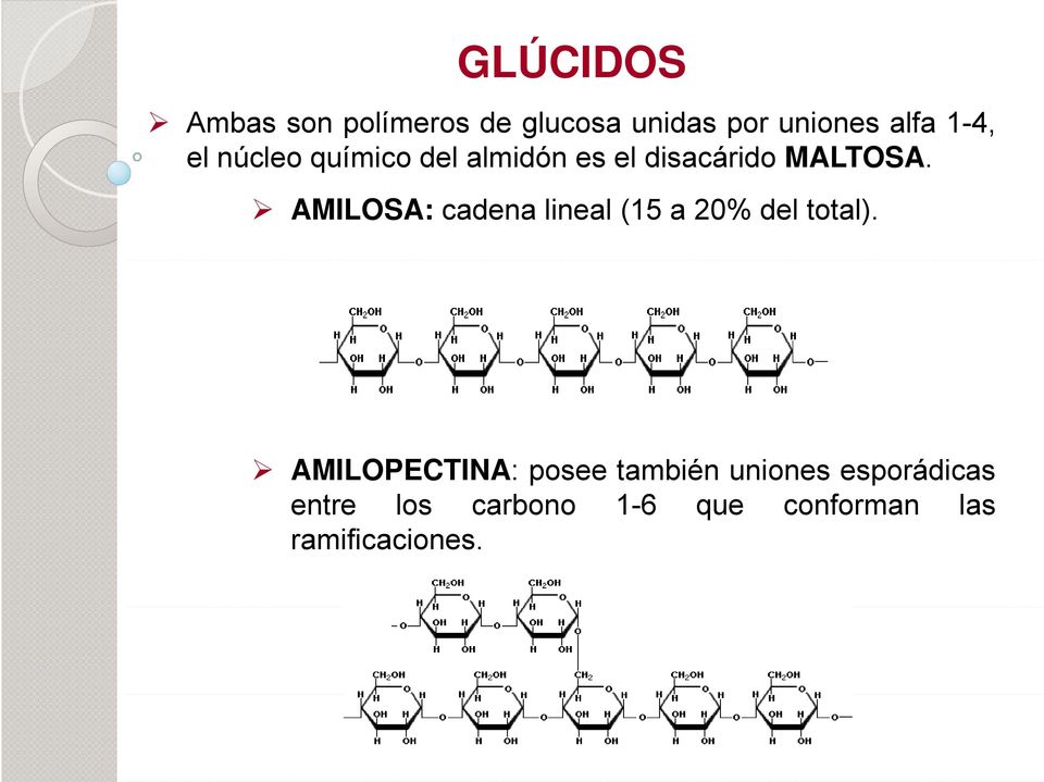 AMILOSA: cadena lineal (15 a 20% del total).