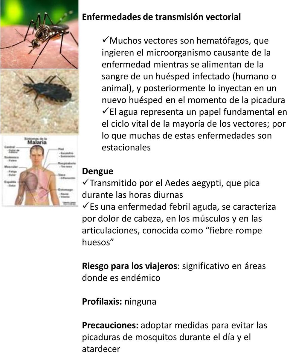 estas enfermedades son estacionales Dengue Transmitido por el Aedes aegypti, que pica durante las horas diurnas Es una enfermedad febril aguda, se caracteriza por dolor de cabeza, en los músculos y