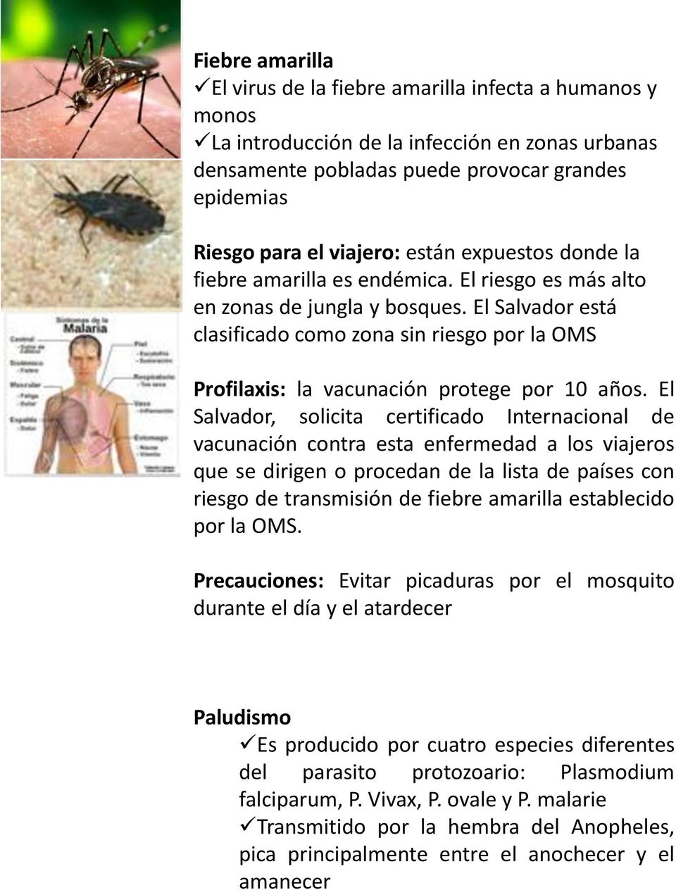 El Salvador está clasificado como zona sin riesgo por la OMS Profilaxis: la vacunación protege por 10 años.
