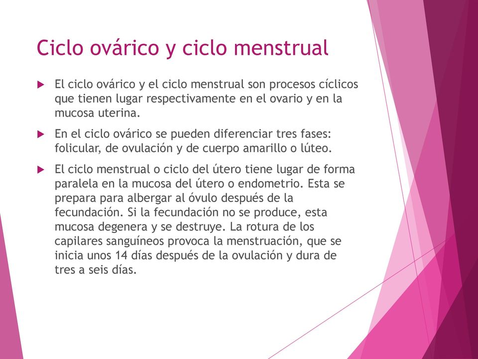 El ciclo menstrual o ciclo del útero tiene lugar de forma paralela en la mucosa del útero o endometrio.