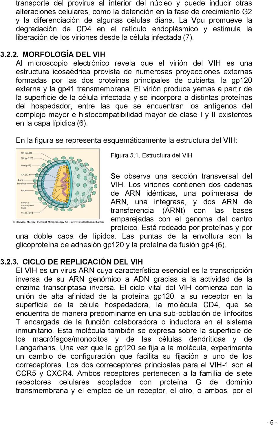 2. MORFOLOGÍA DEL VIH Al microscopio electrónico revela que el virión del VIH es una estructura icosaédrica provista de numerosas proyecciones externas formadas por las dos proteínas principales de