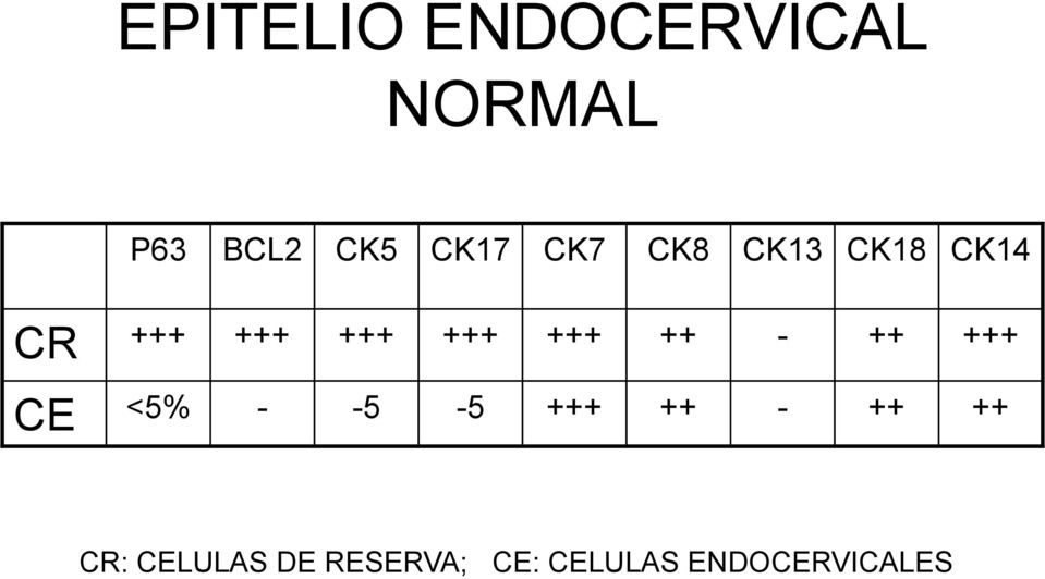 CK14 CR CE <5% 5 5 CR: CELULAS