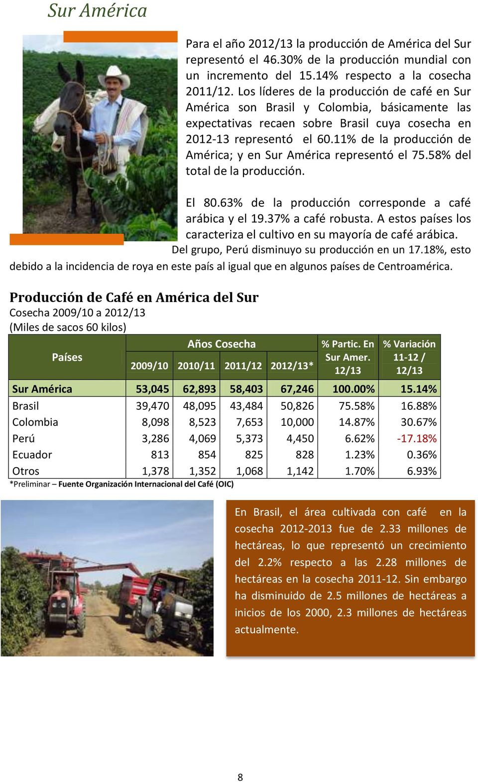 11% de la producción de América; y en Sur América representó el 75.58% del total de la producción. El 80.63% de la producción corresponde a café arábica y el 19.37% a café robusta.