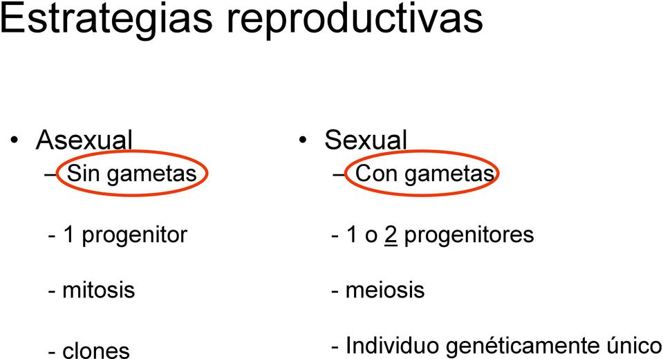 gametas - 1 o 2 progenitores - mitosis -