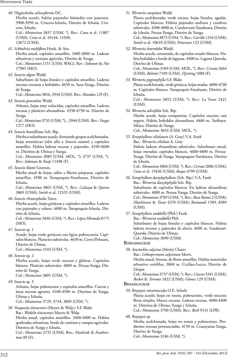 Laderas arbustivas y terrenos agrícolas, Col.: Montesinos 2151 (USM, WAG). Rev.: Solomon & Nee 17985 (MO). 42. Senecio algens Wedd. Subarbusto de hojas lineales y capítulos amarillos.