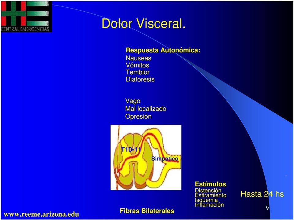 Diaforesis Vago Mal localizado Opresión T10-11
