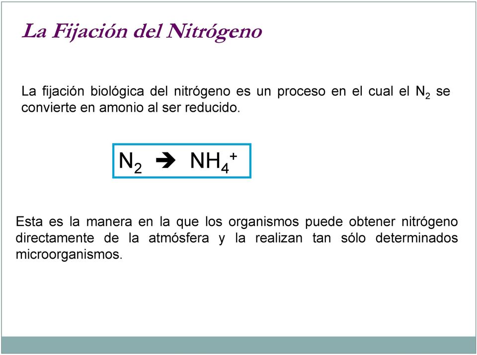 N 2 NH 4 + Esta es la manera en la que los organismos puede obtener