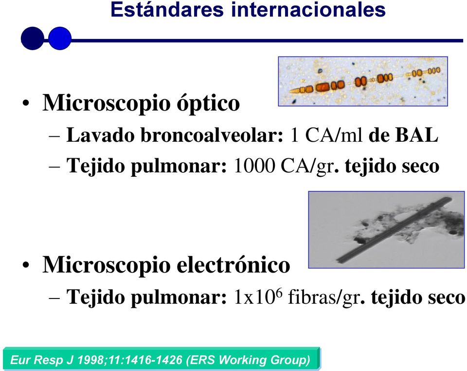 tejido seco Microscopio electrónico Tejido pulmonar: 1x10 6