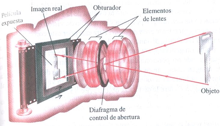 Instrumentos ópticos: El ojo humano, la cámara fotográfica, el microscopio, etc.