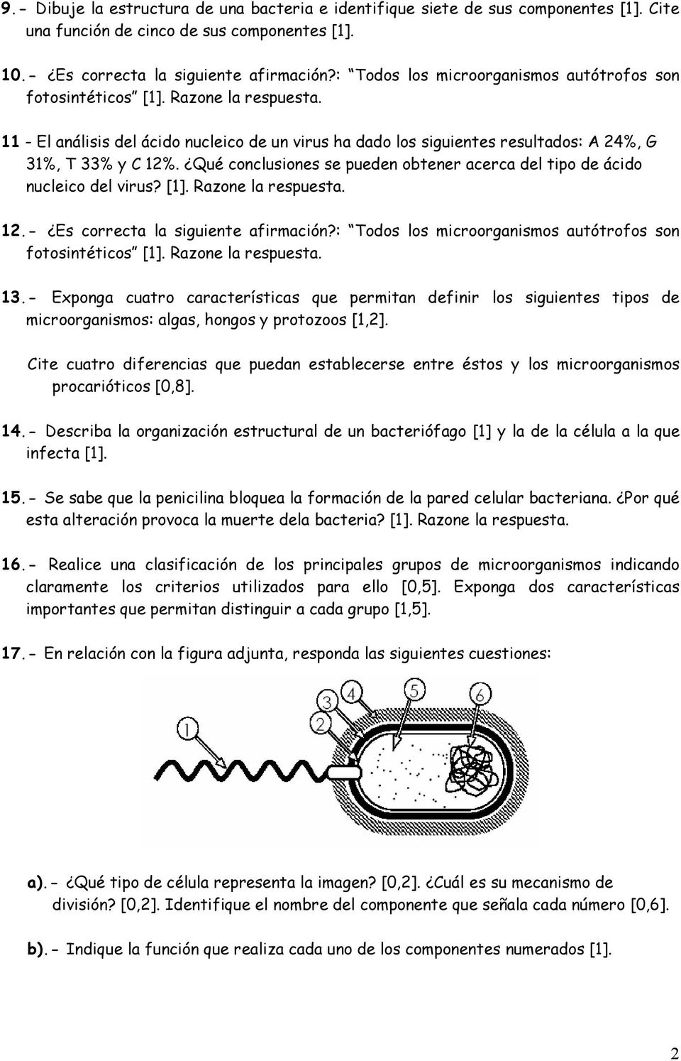 Qué conclusiones se pueden obtener acerca del tipo de ácido nucleico del virus? [1]. Razone la respuesta. 12.- Es correcta la siguiente afirmación?