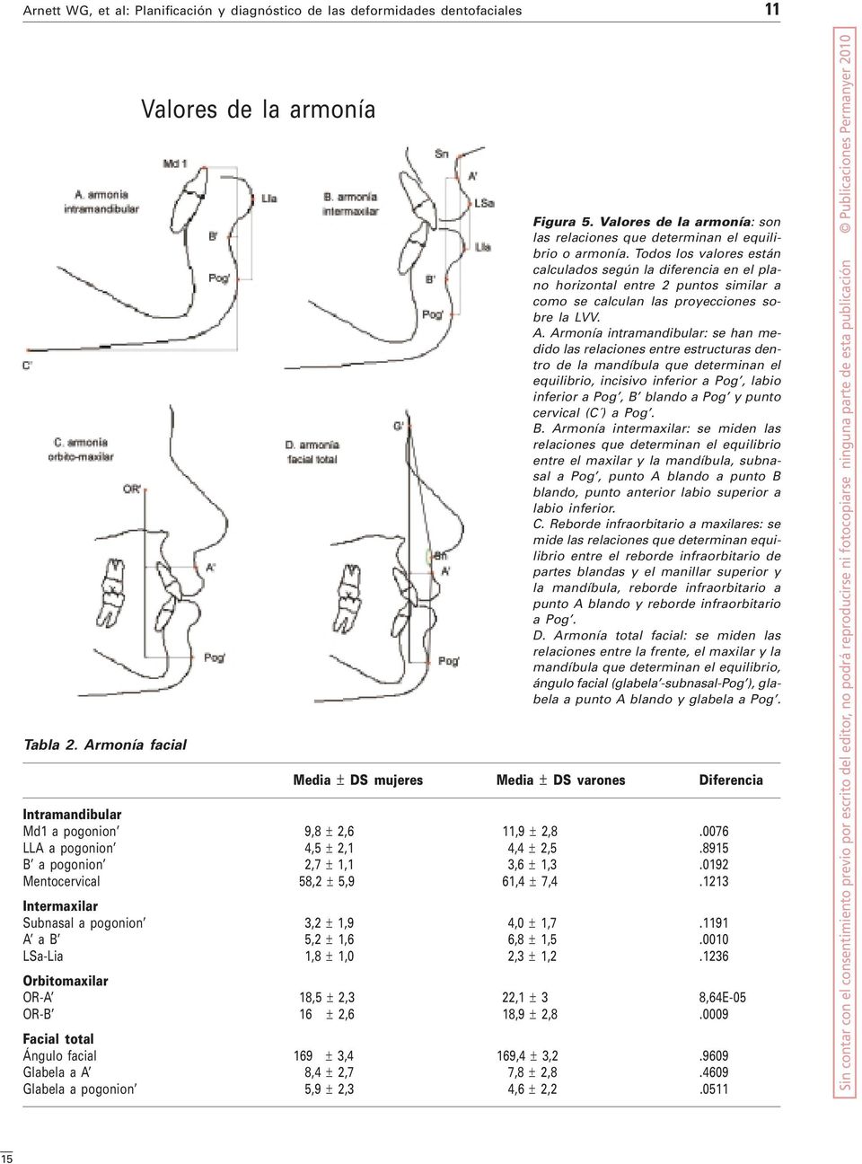 Armonía intramandibular: se han medido las relaciones entre estructuras dentro de la mandíbula que determinan el equilibrio, incisivo inferior a Pog, labio inferior a Pog, B blando a Pog y punto