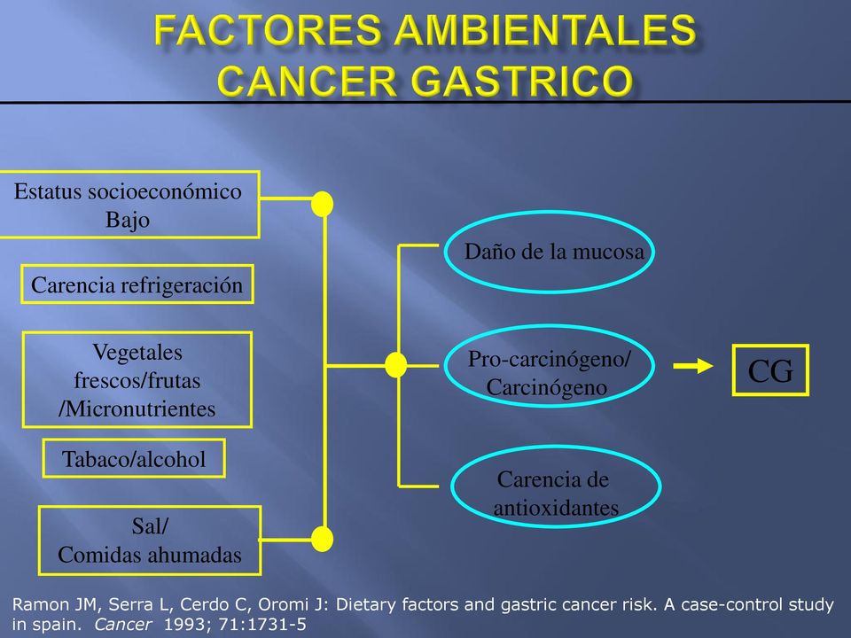 Pro-carcinógeno/ Carcinógeno Carencia de antioxidantes CG Ramon JM, Serra L, Cerdo