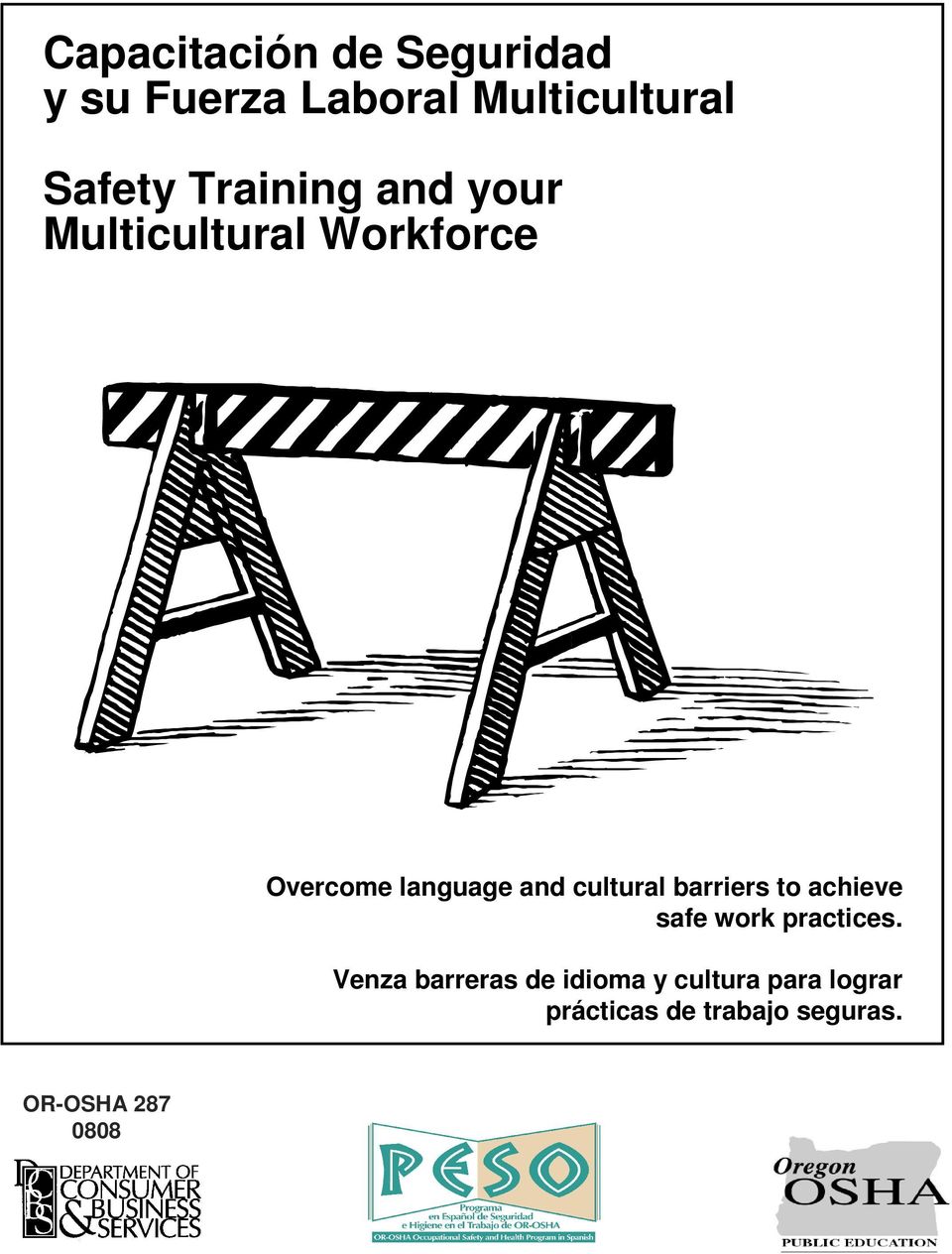 cultural barriers to achieve safe work practices.