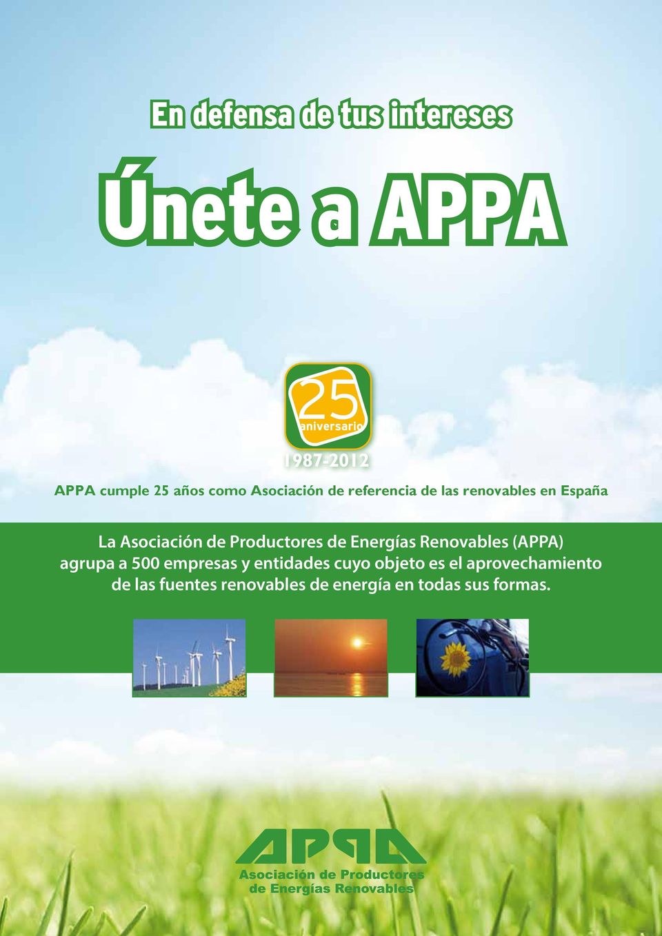 Productores de Energías Renovables (APPA) agrupa a 500 empresas y entidades
