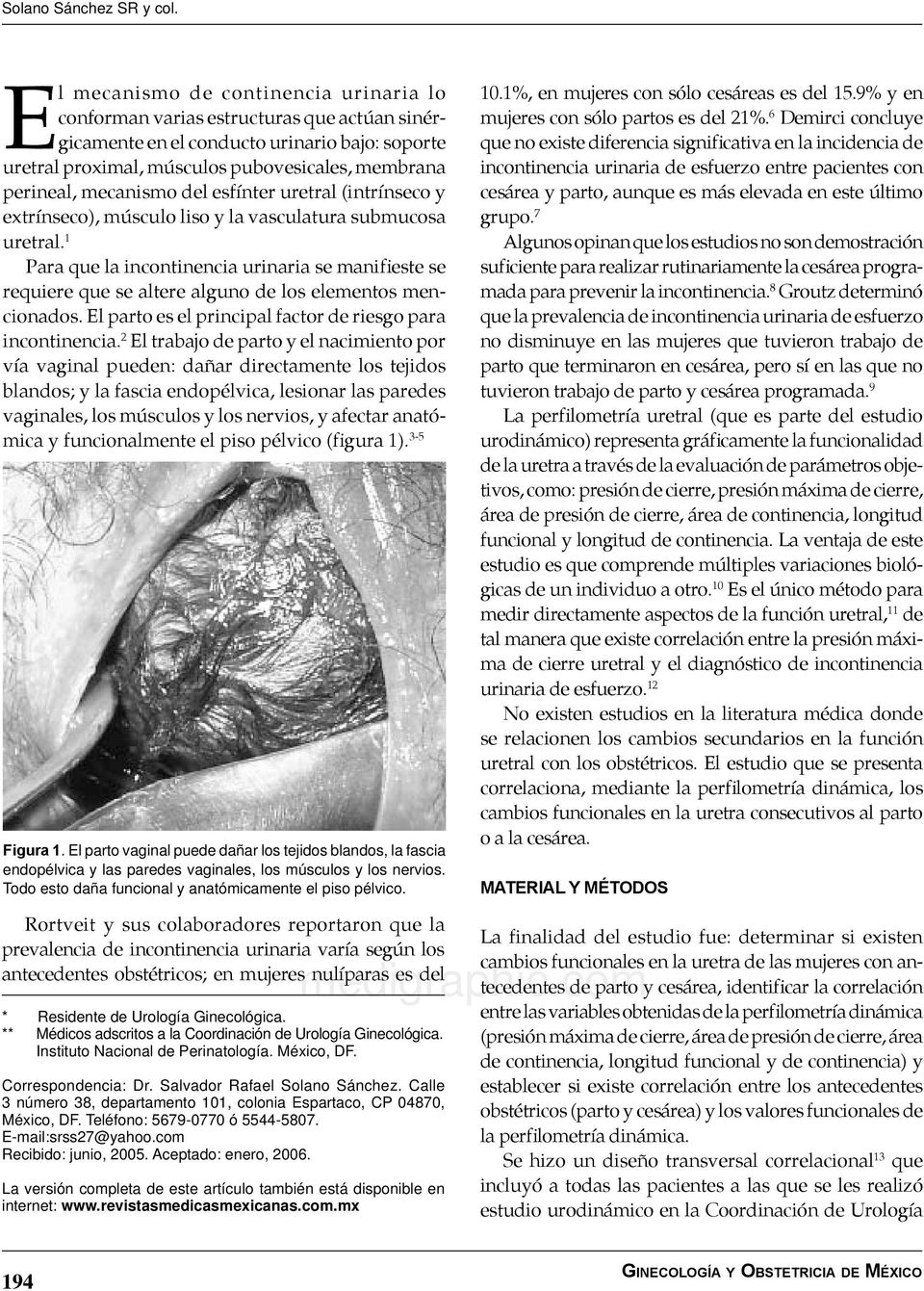 mecanismo del esfínter uretral (intrínseco y extrínseco), músculo liso y la vasculatura submucosa uretral.