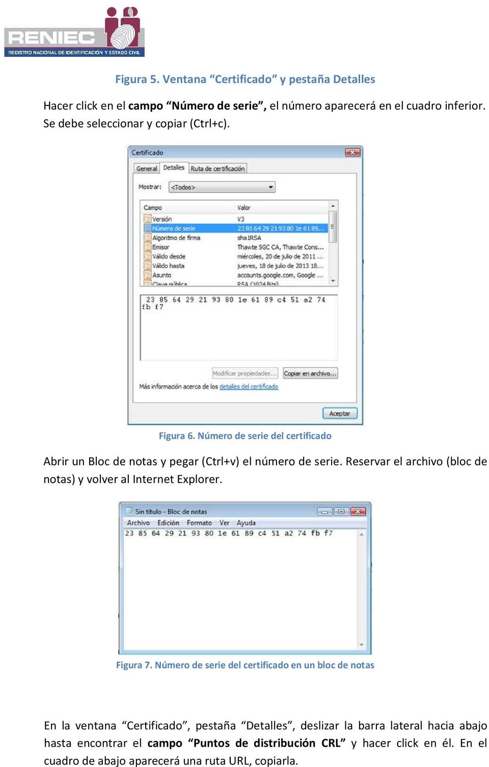 Reservar el archivo (bloc de notas) y volver al Internet Explorer. Figura 7.