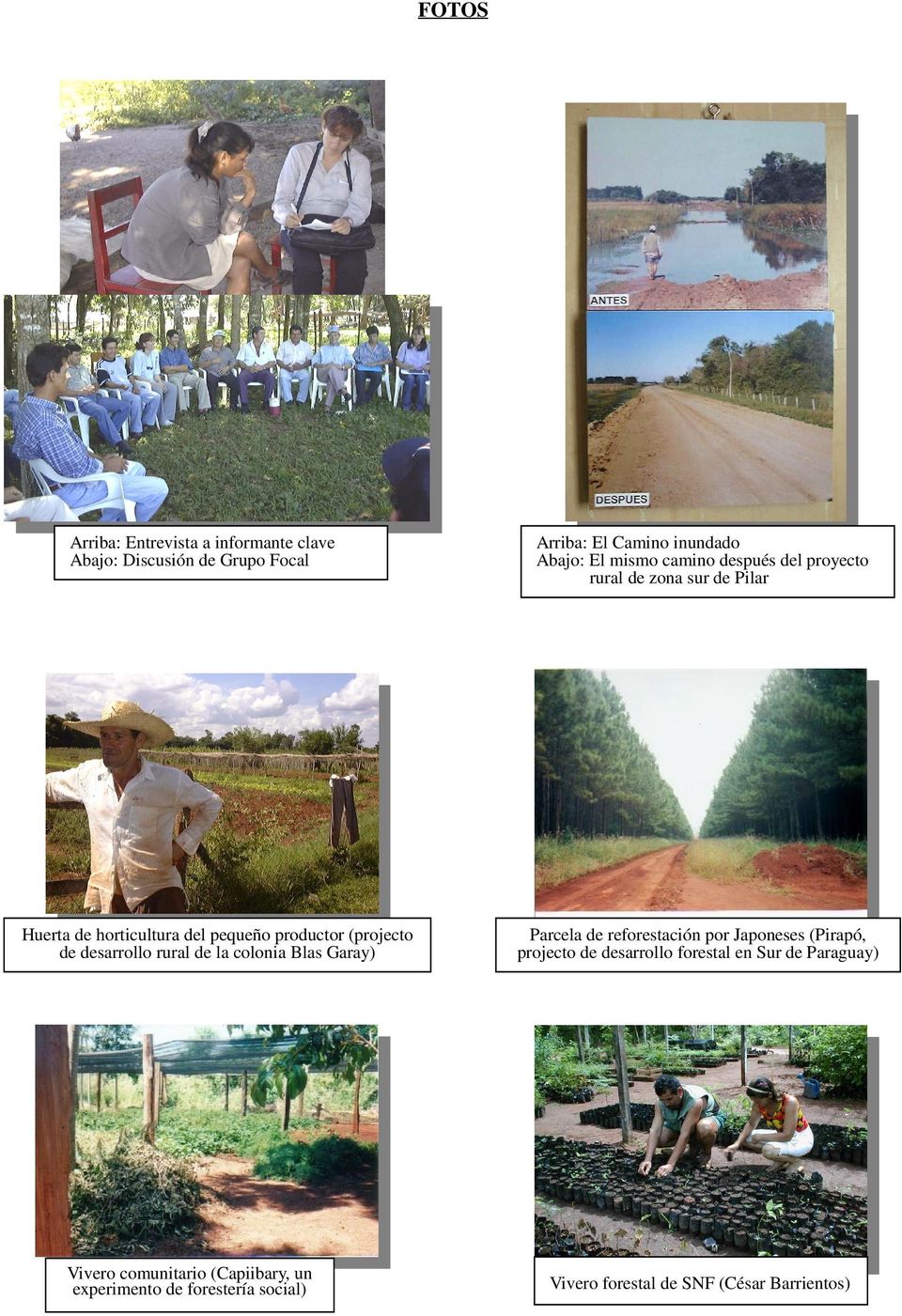 desarrollo rural de la colonia Blas Garay) Parcela de reforestación por Japoneses (Pirapó, projecto de desarrollo
