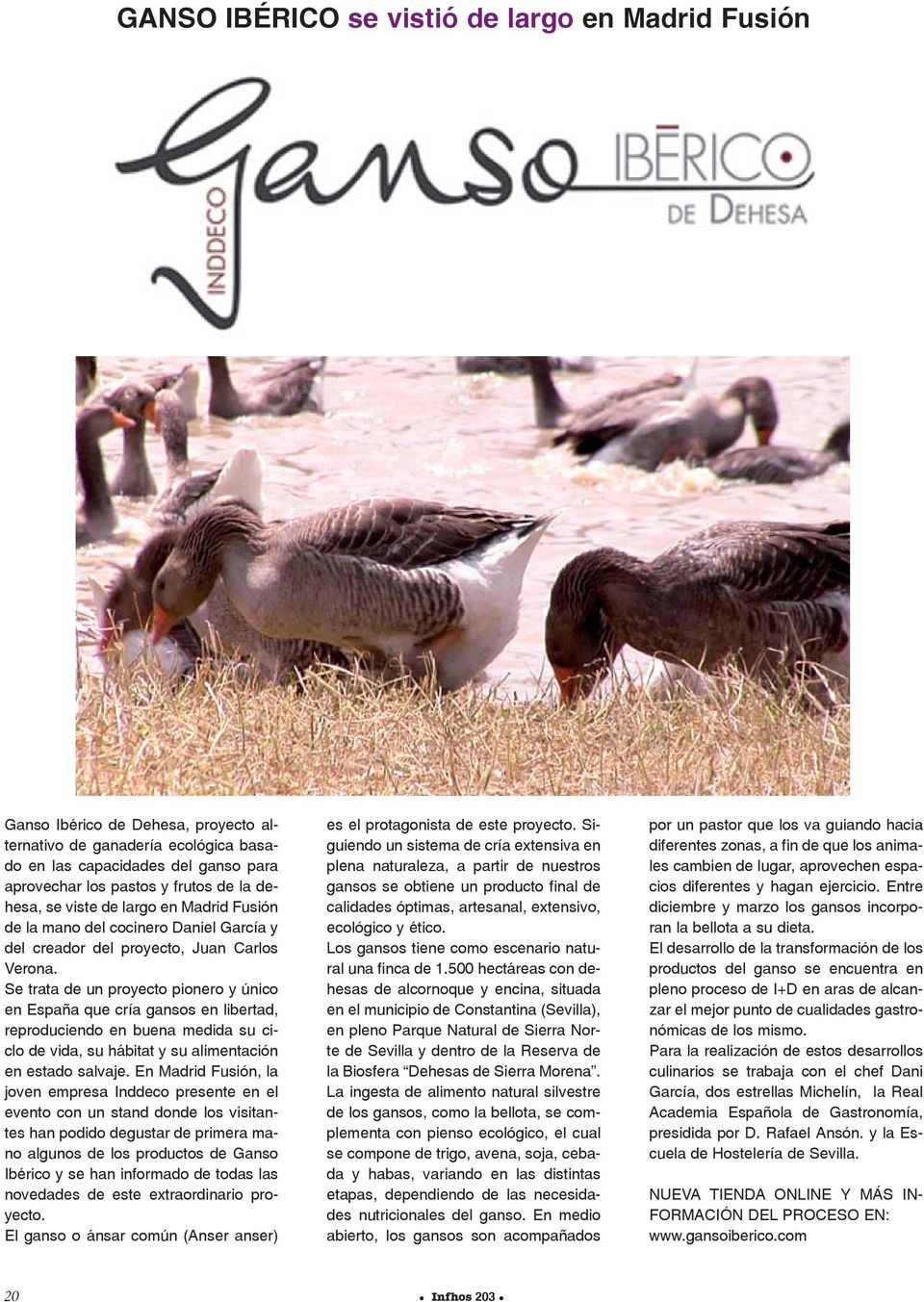 Se trata de un proyecto pionero y único en España que cría gansos en libertad, reproduciendo en buena medida su ciclo de vida, su hábitat y su alimentación en estado salvaje.