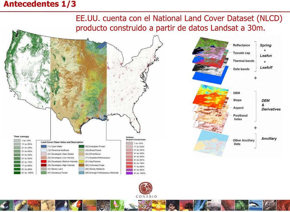 Cover Dataset (NLCD) producto