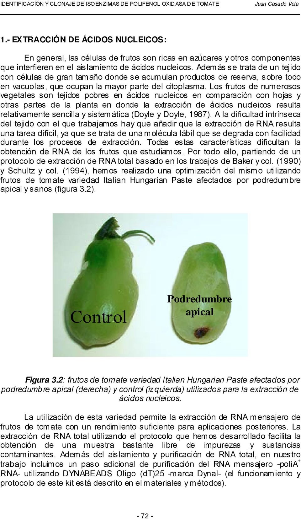 Los frutos de numerosos vegetales son tejidos pobres en ácidos nucleicos en comparación con hojas y otras partes de la planta en donde la extracción de ácidos nucleicos resulta relativamente sencilla