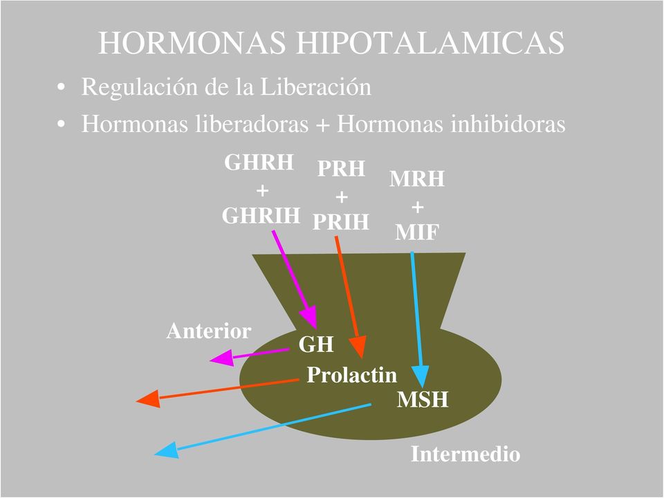 Hormonas inhibidoras GHRH + GHRIH PRH +