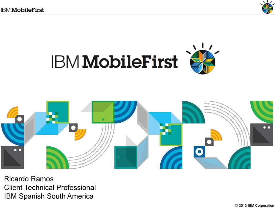 Professional IBM