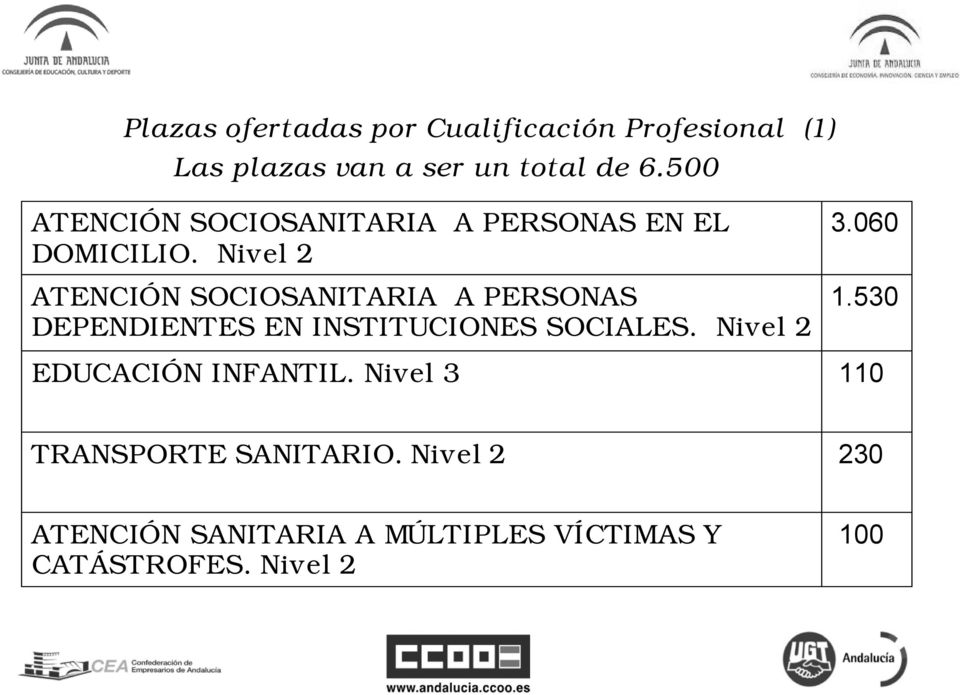 Nivel 2 ATENCIÓN SOCIOSANITARIA A PERSONAS DEPENDIENTES EN INSTITUCIONES SOCIALES. Nivel 2 3.