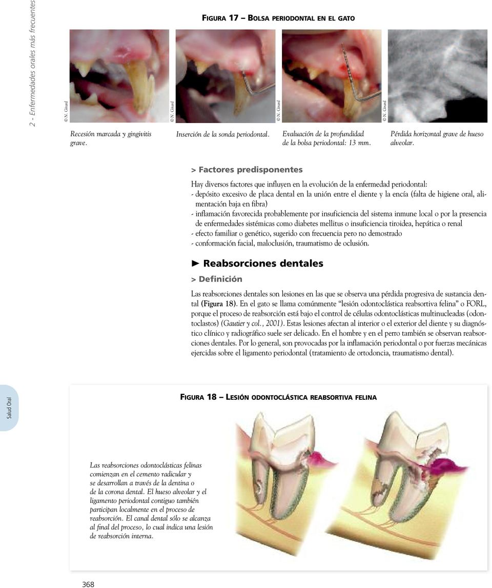 > Factores predisponentes Hay diversos factores que influyen en la evolución de la enfermedad periodontal: - depósito excesivo de placa dental en la unión entre el diente y la encía (falta de higiene