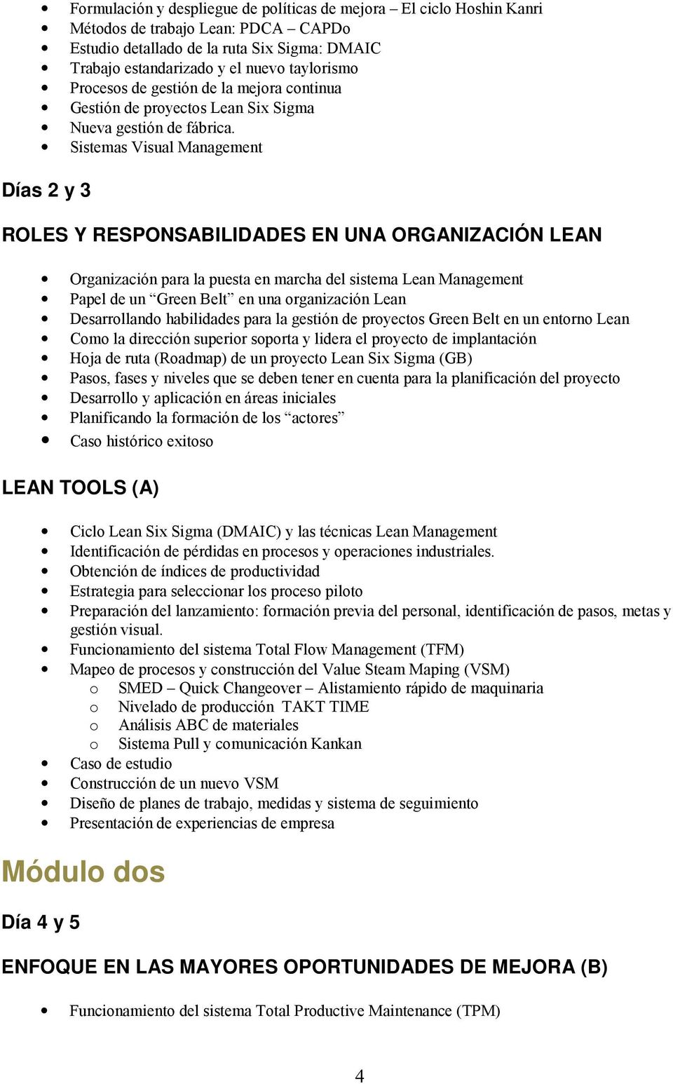 Sistemas Visual Management Días 2 y 3 ROLES Y RESPONSABILIDADES EN UNA ORGANIZACIÓN LEAN Organización para la puesta en marcha del sistema Lean Management Papel de un Green Belt en una organización