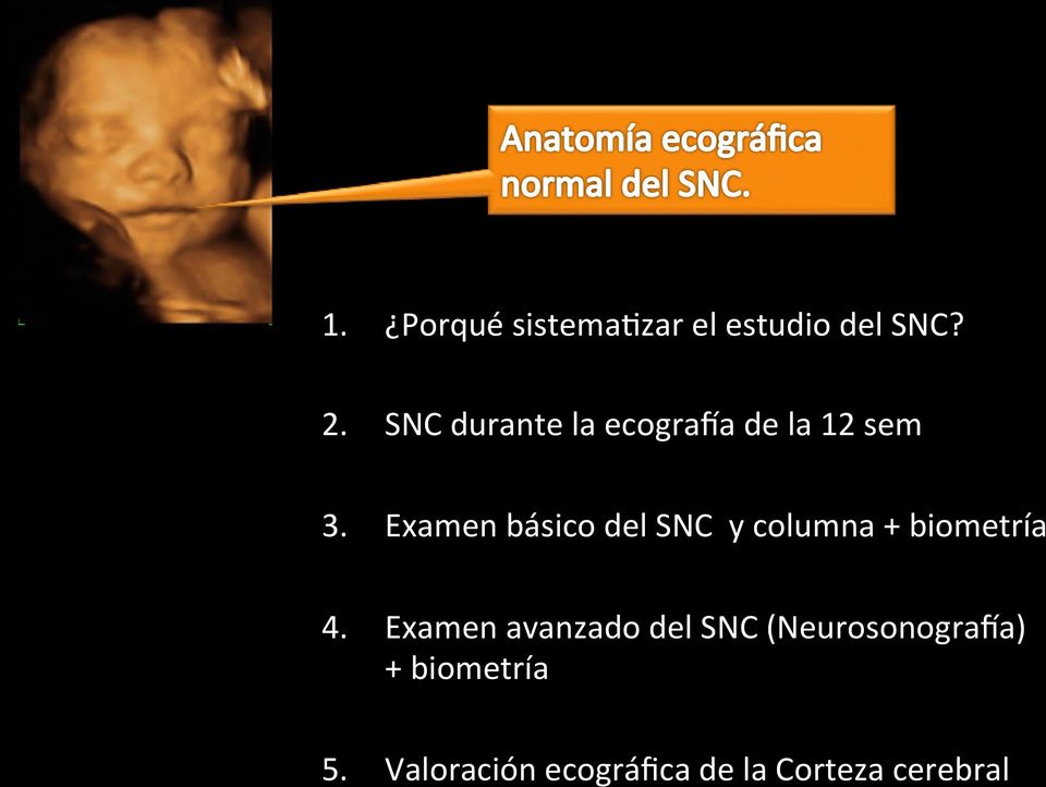 Examen básico del SNC y columna + biometría 4.