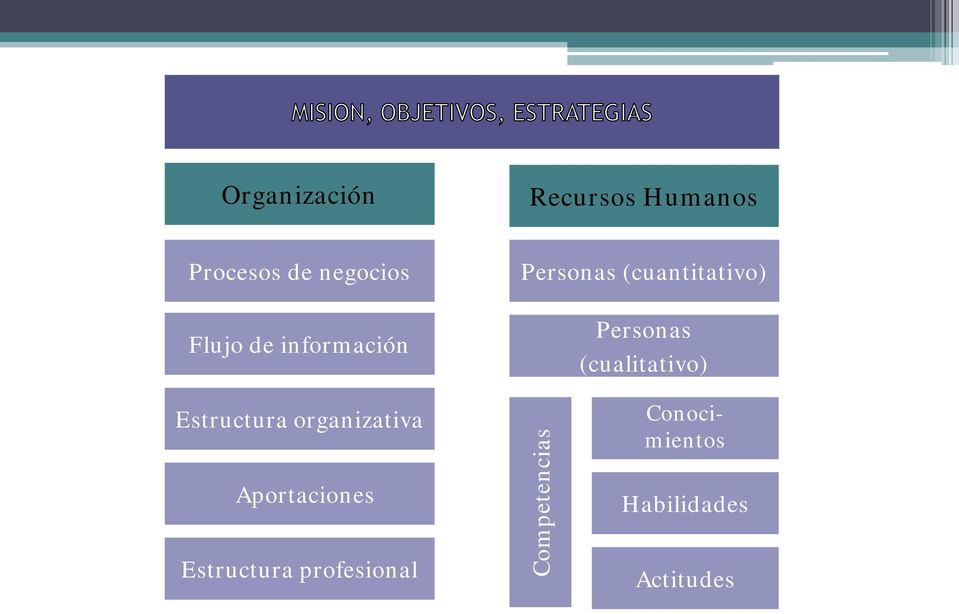 (cualitativo) Estructura organizativa Aportaciones