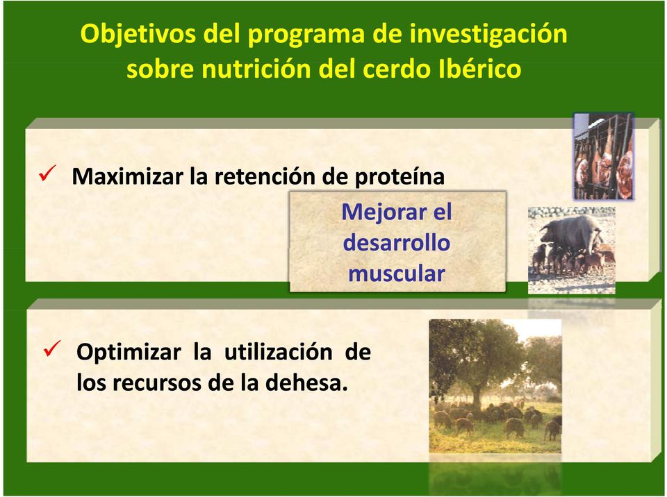 de proteína p Mejorar el desarrollo desarrollo muscular 9