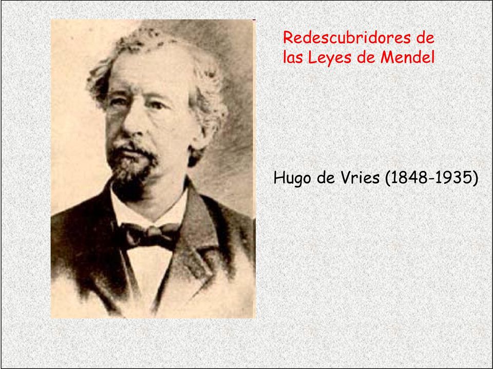 Mendel Hugo de
