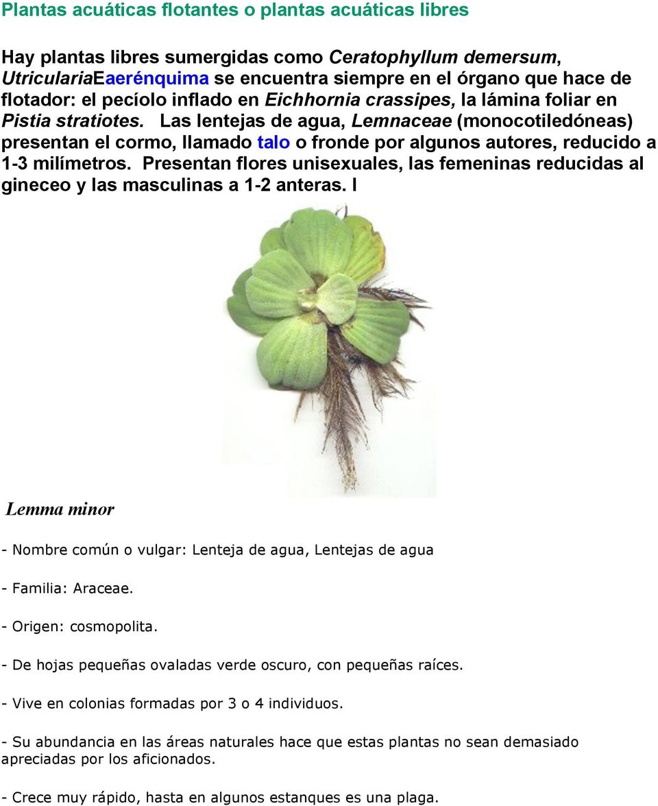 Las lentejas de agua, Lemnaceae (monocotiledóneas) presentan el cormo, llamado talo o fronde por algunos autores, reducido a 1-3 milímetros.