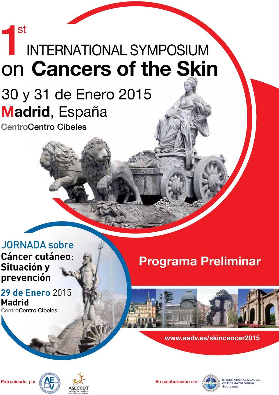 Enero 2015 Madrid Programa Preliminar www.aedv.