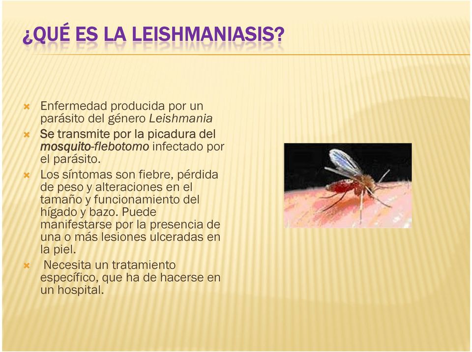 mosquito-flebotomo infectado por el parásito Los síntomas son fiebre, pérdida de peso y alteraciones en
