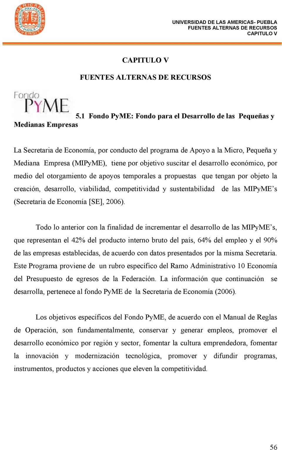 las MIPyME s (Secretaria de Economía [SE], 2006).