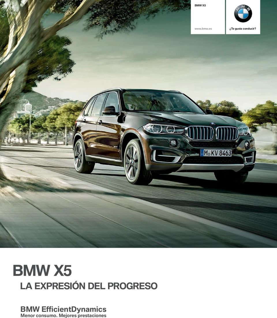 BMW X LA EXPRESIÓN DEL PROGRESO